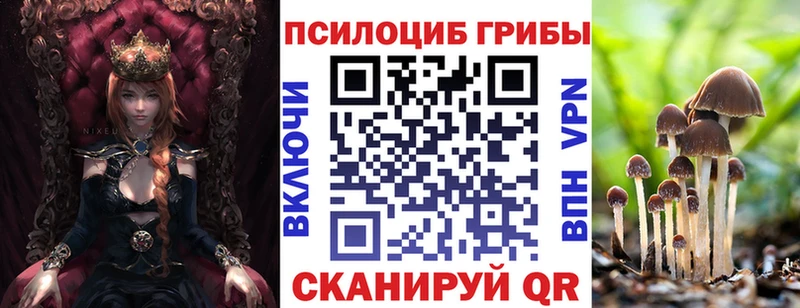 Псилоцибиновые грибы мицелий  Луга 
